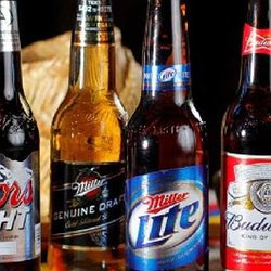 Domestic Beer Mixed 6 Pack