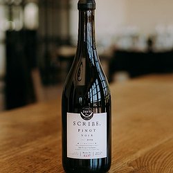 Scribe, Pinot Noir, Carneros