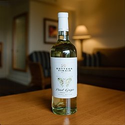 Bottega Vinaia Pinot Grigio